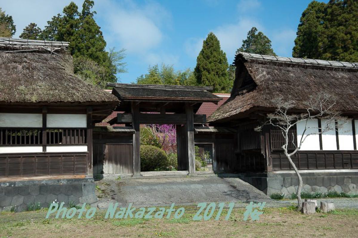 狩宿の下馬桜